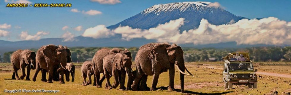 Kenia reise urlaub warum sind safaris teuer.
