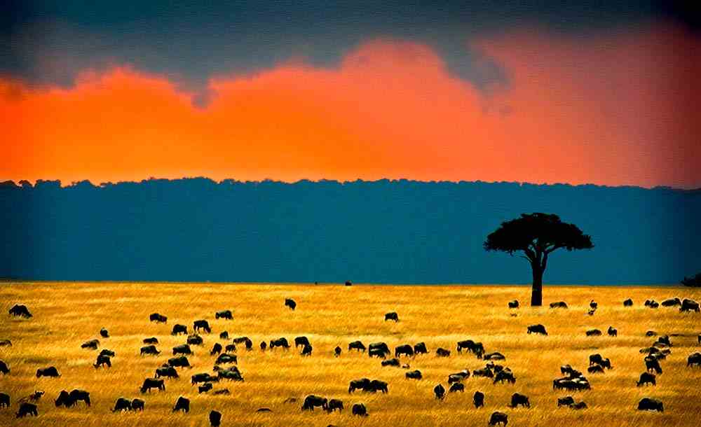 Kenia Klima strand und safari, reisefuehrer, allgemeines, reisetipp mit reiseleiter und Informationen für die alle Kenia safaris.