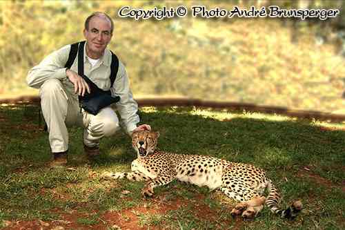 Ich streichle einen Geparden - kenia mein personliches konzept reise urlaub safaris afrika fuhrer