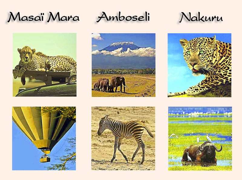 Kenia safari kleines kenia 9 tage